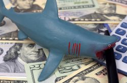 definition of a loan shark