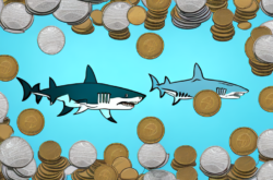 Avoid Becoming a Victim of a Loan Shark