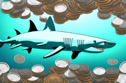 Guaranteed Loan Sharks